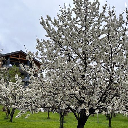 Affittacamere Verger Plein Soleil Saint-Pierre Zewnętrze zdjęcie