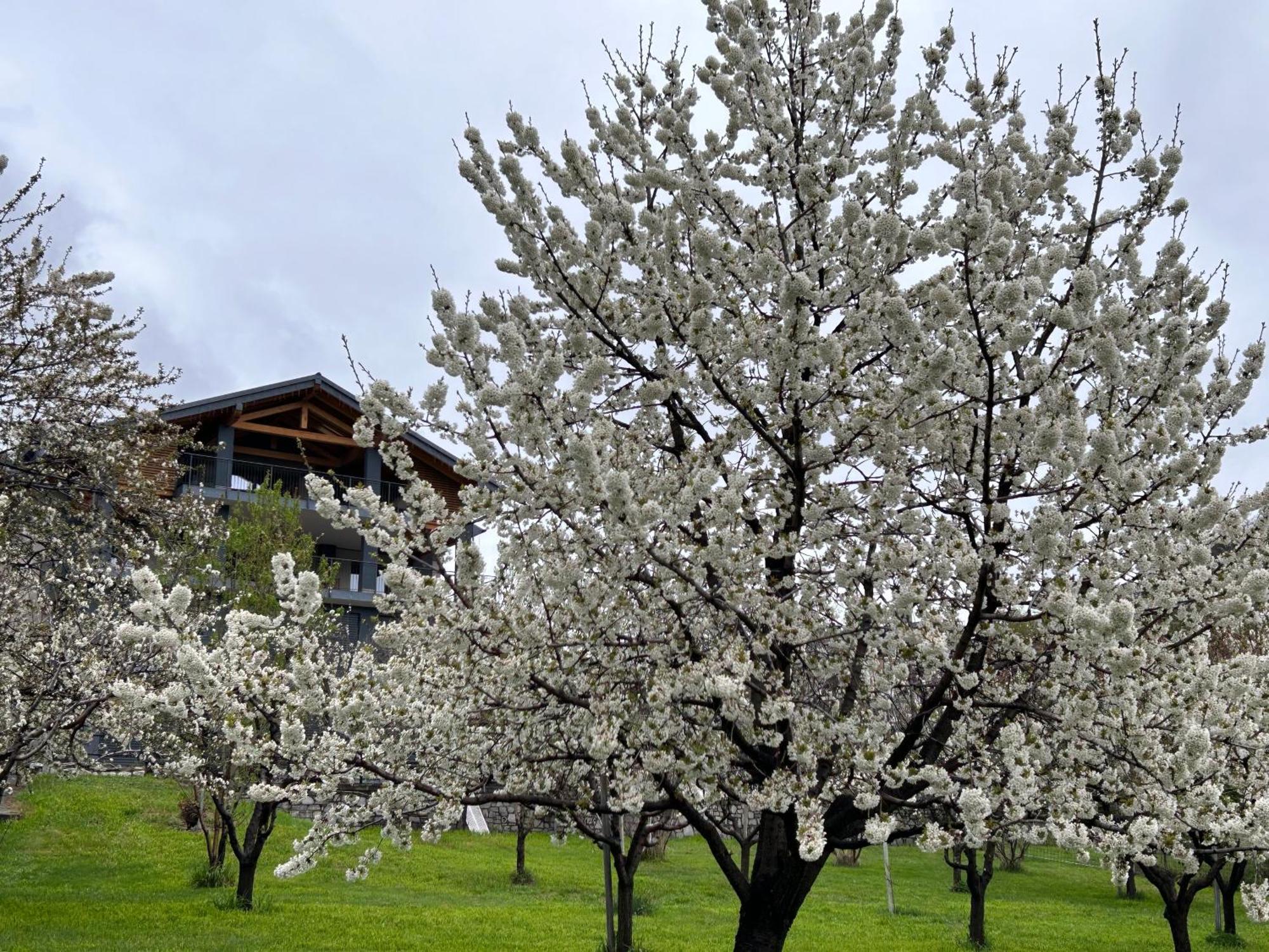 Affittacamere Verger Plein Soleil Saint-Pierre Zewnętrze zdjęcie
